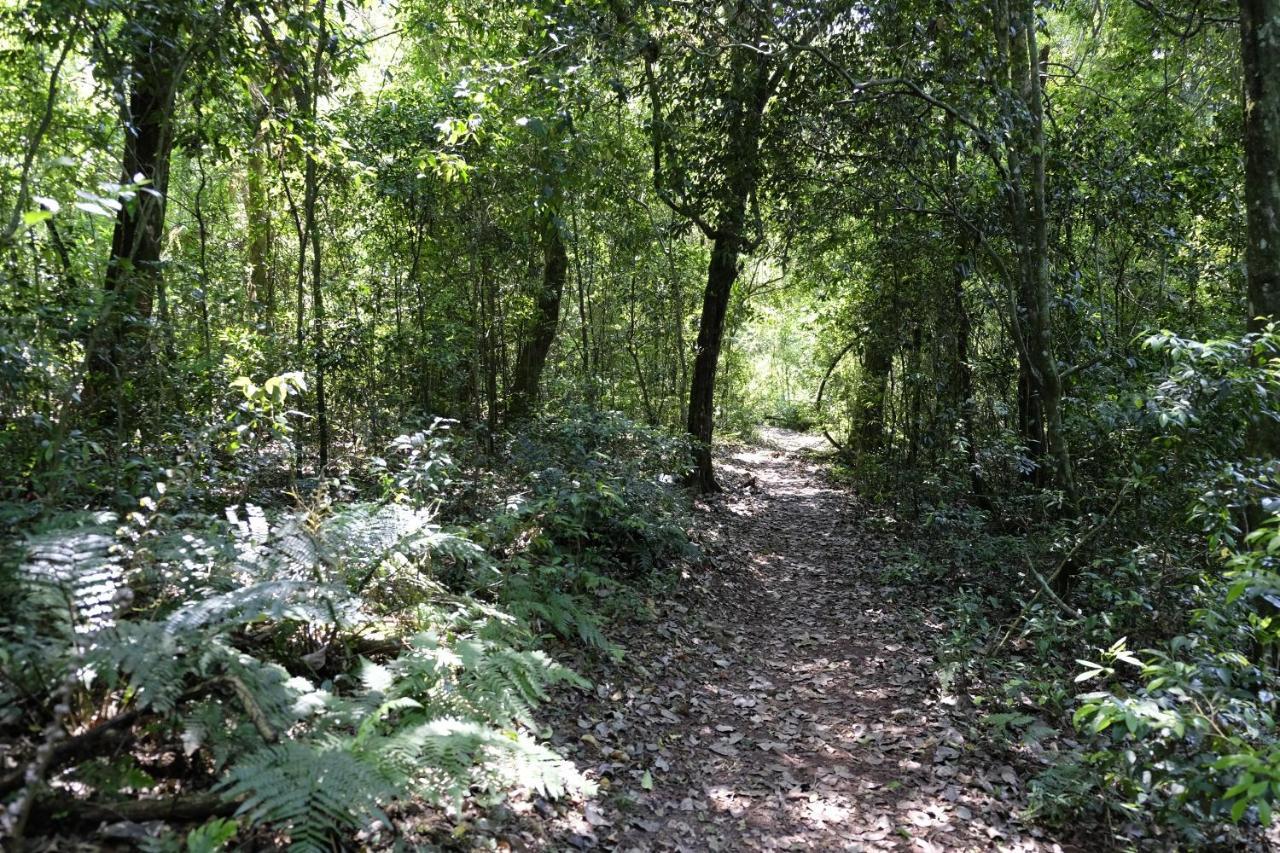 Reserva La Mision Mocona - Solo Adultos Saltos del Moconá المظهر الخارجي الصورة